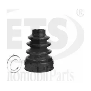 06.SK.818 ETS