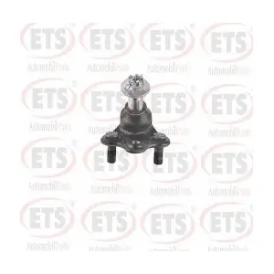 29.BJ.696 ETS