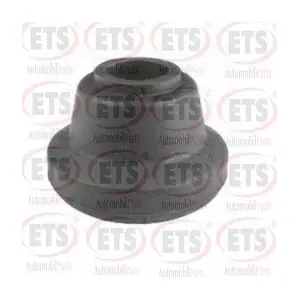 ETS 19SR411
