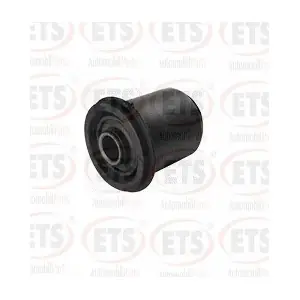 29.SB.101 ETS
