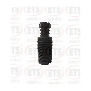 29.SK.704 ETS