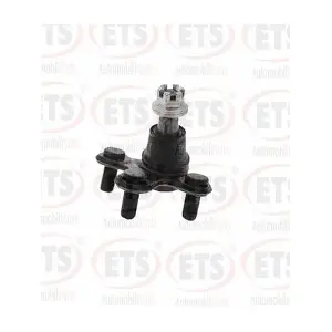 07.BJ.195 ETS