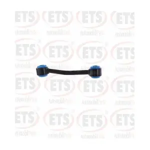 ETS 06.LB.454