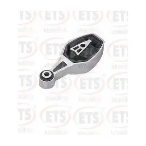 9810221880 CITROEN (DF-PSA)