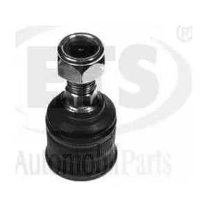 21667 ZF