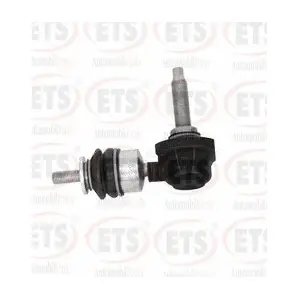 06.LB.421 ETS