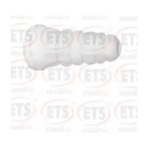06.SM.081 ETS