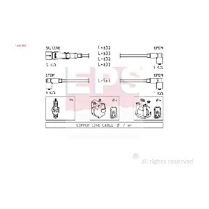 N10052809 VW