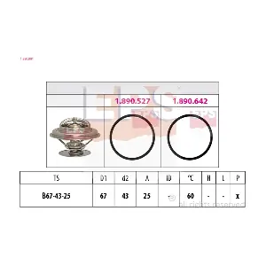 1880981 EPS