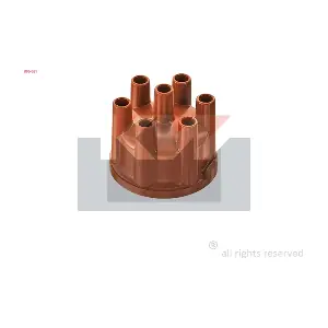 KW 806 081
