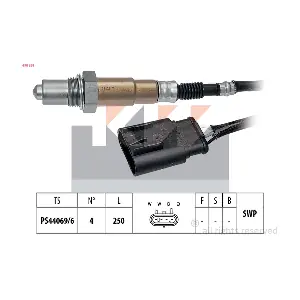KW 498 381