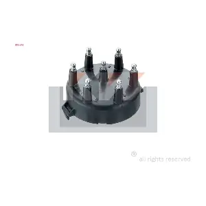 KW 806 244