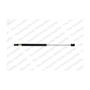 ROC GS1019