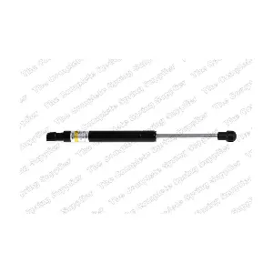 GS0955 ROC