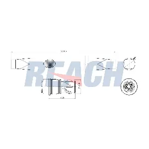 1.71.12267 REACH