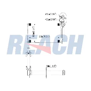 1.18.13258 REACH