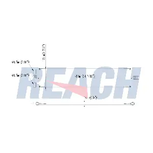 1.31.30245.PH REACH