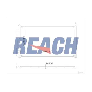 1.31.3391.P REACH