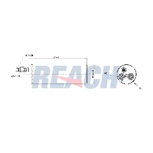 REACH 1.71.12100