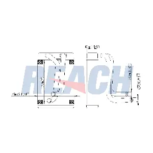 1.18.12936 REACH