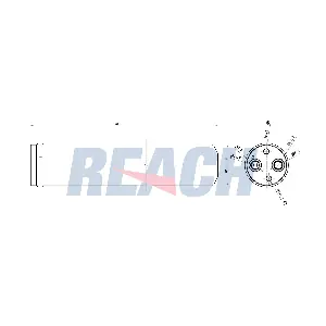 1.71.12081 REACH