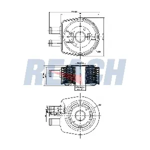 REACH 1.24.11037