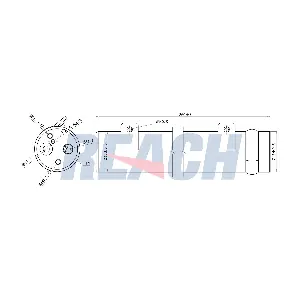 1.71.12117 REACH