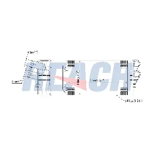 REACH 1.18.12706