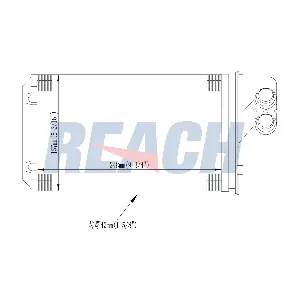 1.18.12924 REACH