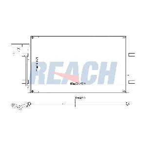 1.30.0529.P REACH