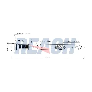 1.71.12126 REACH