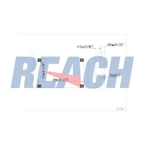 1.18.13204 REACH