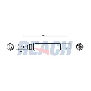 1.71.12085 REACH