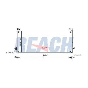 REACH 1.32.5202.P