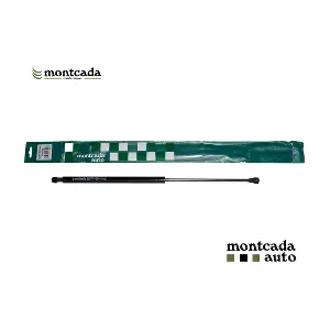 RNI040 Montcada