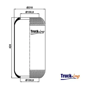 500324098 IRISBUS