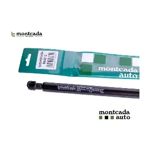 RNI013 Montcada