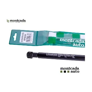 RPE006 Montcada