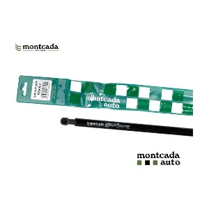 Montcada RPE008