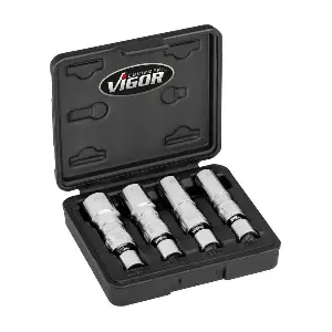 V70024 VIGOR