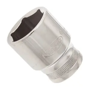 V2569N VIGOR