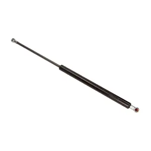 813562 STABILUS