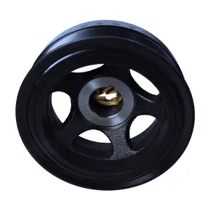 30-0256 MAXGEAR