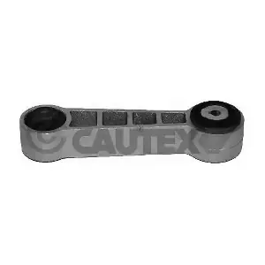 021404 CAUTEX