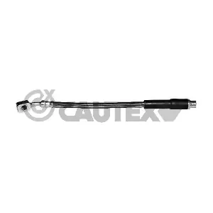 481090 CAUTEX