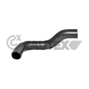 771096 CAUTEX