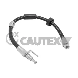 756130 CAUTEX