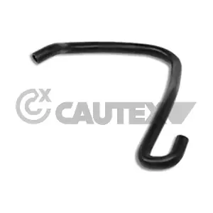 026641 CAUTEX