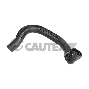 771667 CAUTEX