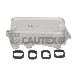 769279 CAUTEX